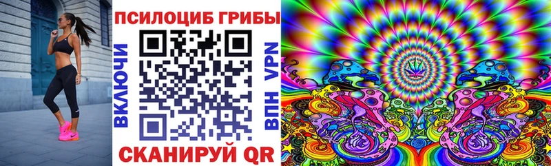 Псилоцибиновые грибы мицелий  наркота  Котовск 